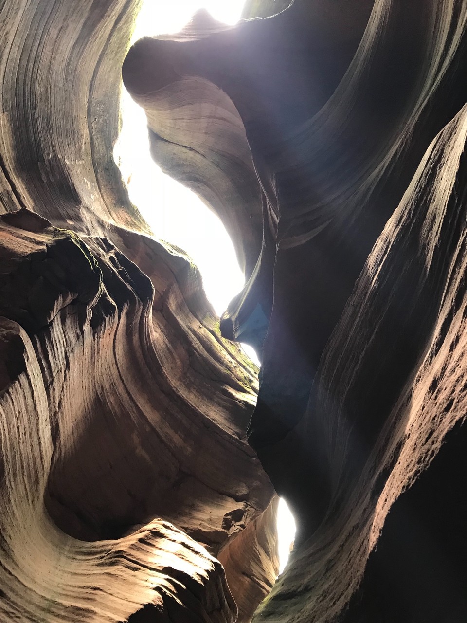 CAC37382-7651-402B-9607-9415DCF0E1AF