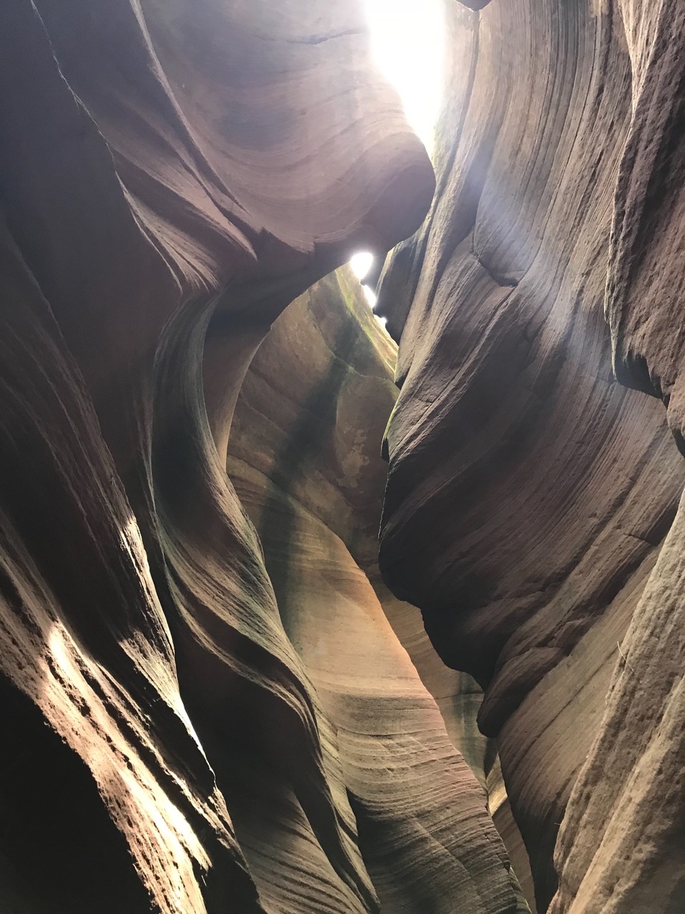 11EA6065-CED1-4CB7-9C02-3F4910B29D63