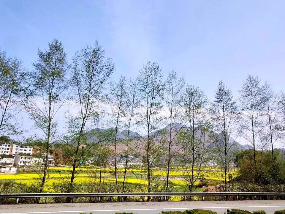 mmexport1521370409425