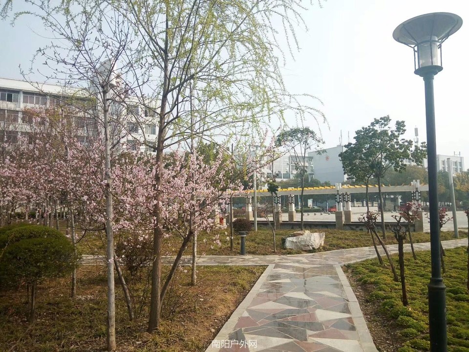 mmexport1522216516122