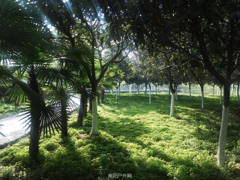 mmexport1522216333884