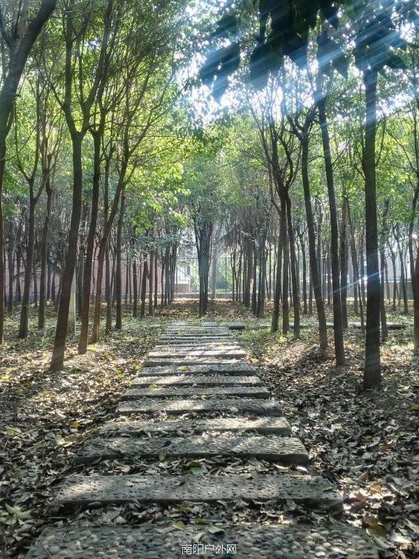 mmexport1522216337121