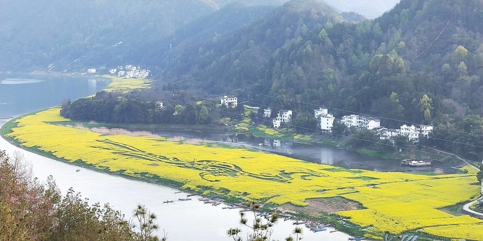 mmexport1522158935733