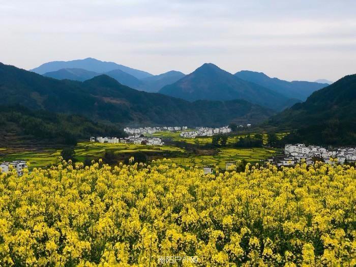 mmexport1522291479331