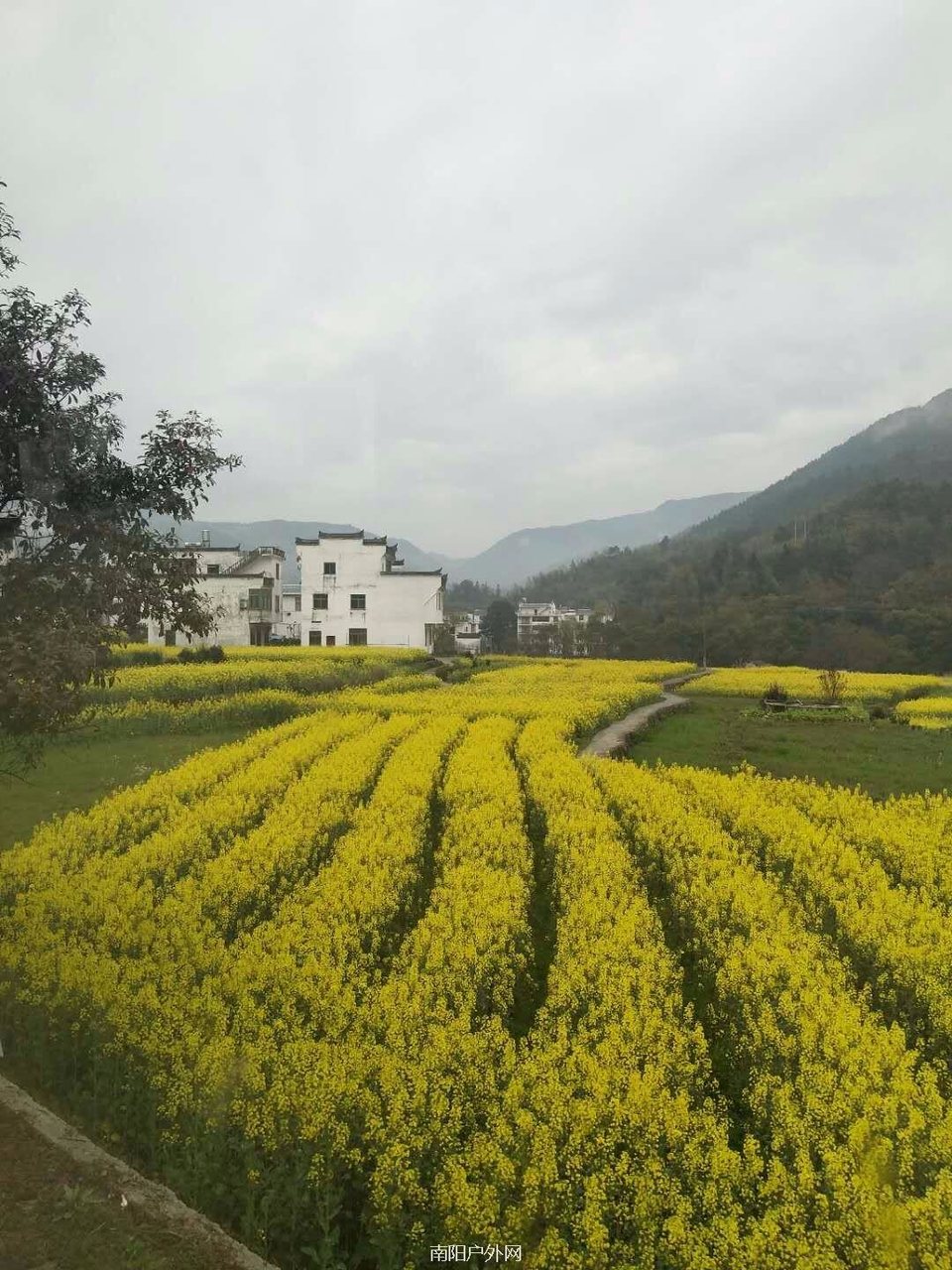 mmexport1522120734690