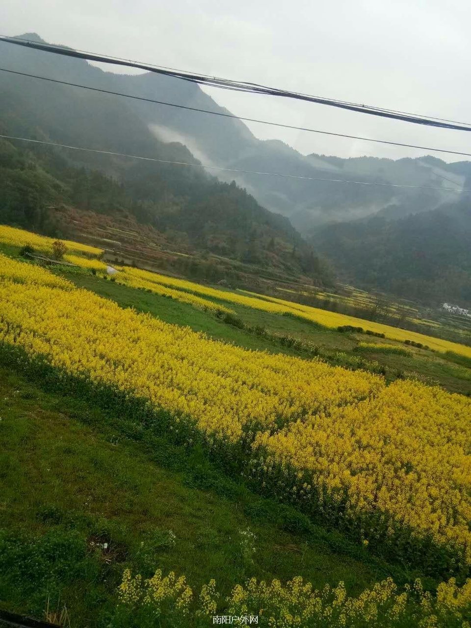 mmexport1522120730816