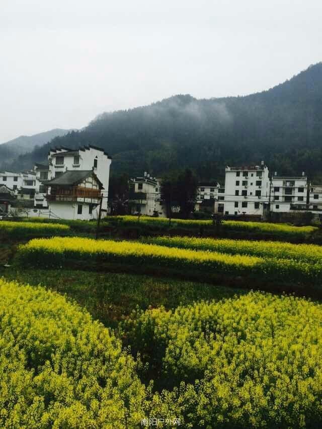 mmexport1522120726539