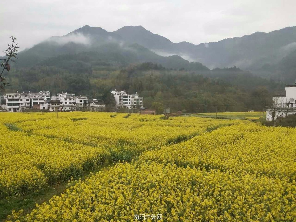 mmexport1522120721833