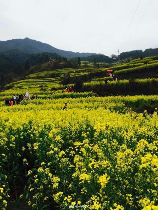 mmexport1522120560493