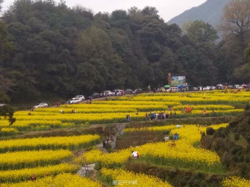 mmexport1522120552693