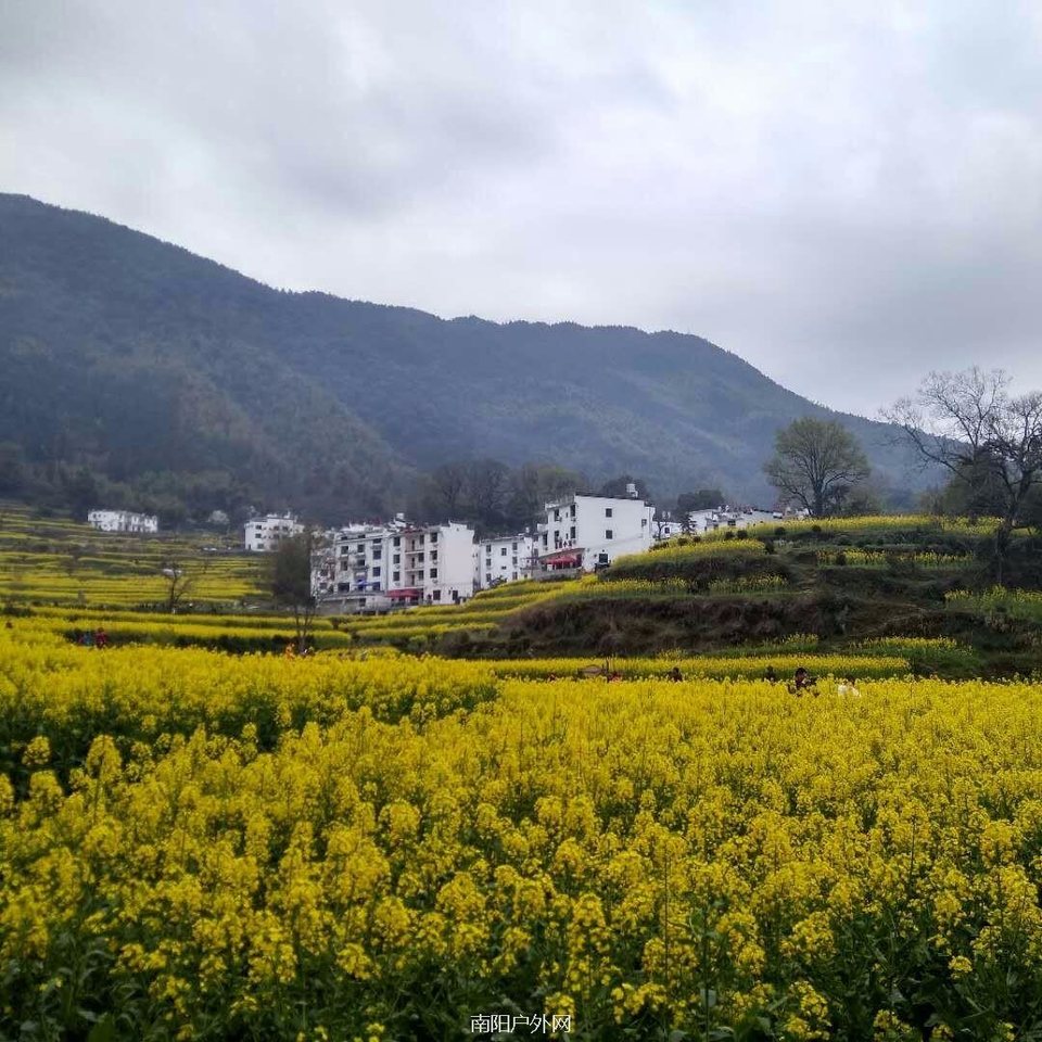 mmexport1522120535427