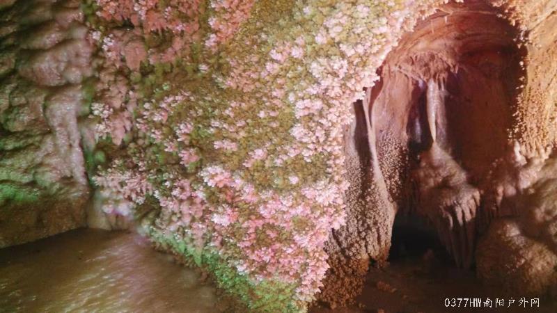 3oPybXapz-DV1_n96Jc8CfExAKUeU4UAF9o5Ptecklys146APER5wJhSn1jHdMv0