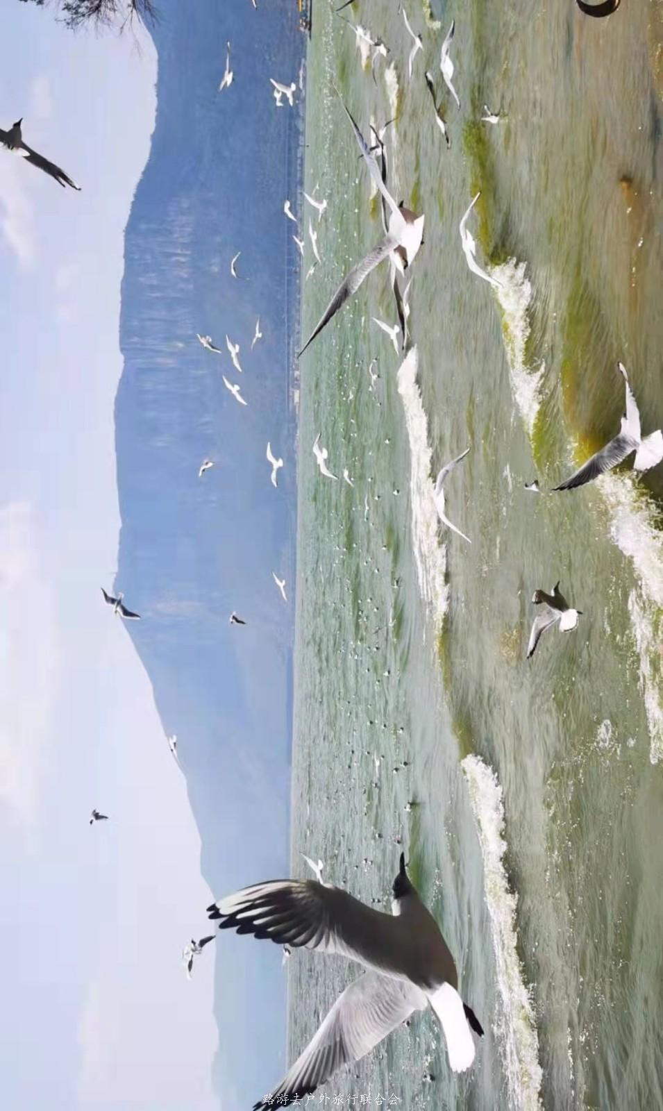 mmexport1614512227733