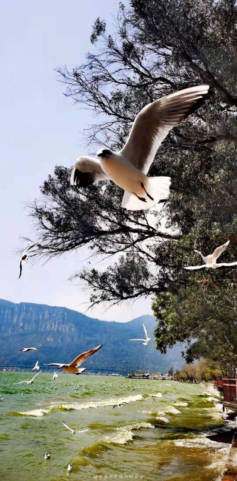 mmexport1614512214015