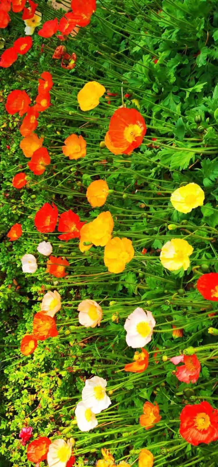 mmexport1614485443926