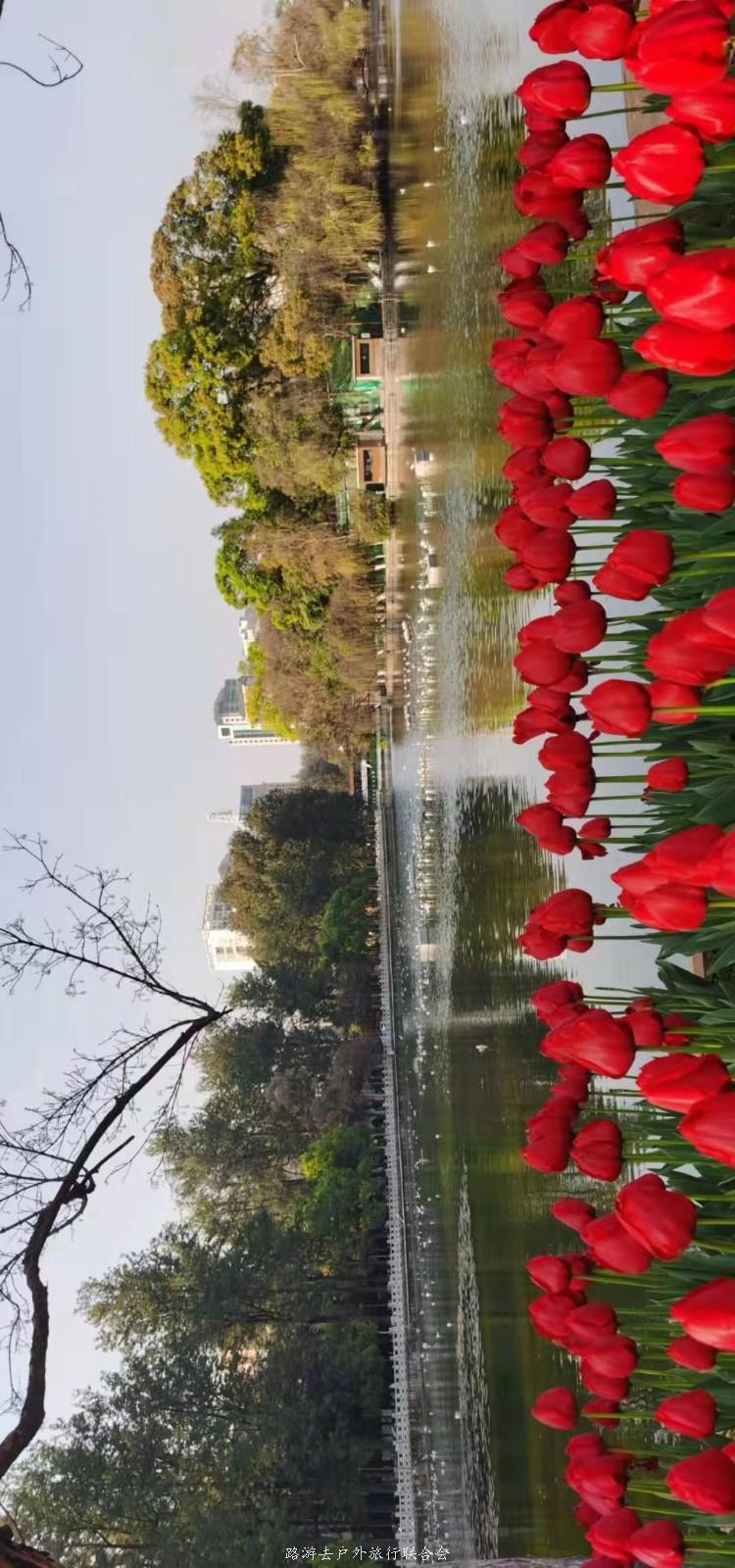 mmexport1614485439573