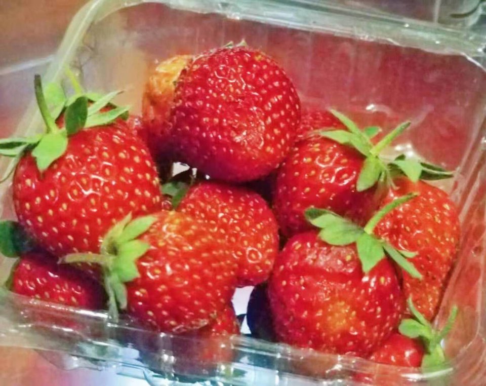 e65oxLEMvBRbAaMkrbYGGm_QWw6-qenXO98ceph21XtXMwlsgxQjax2X3IOtRmfp