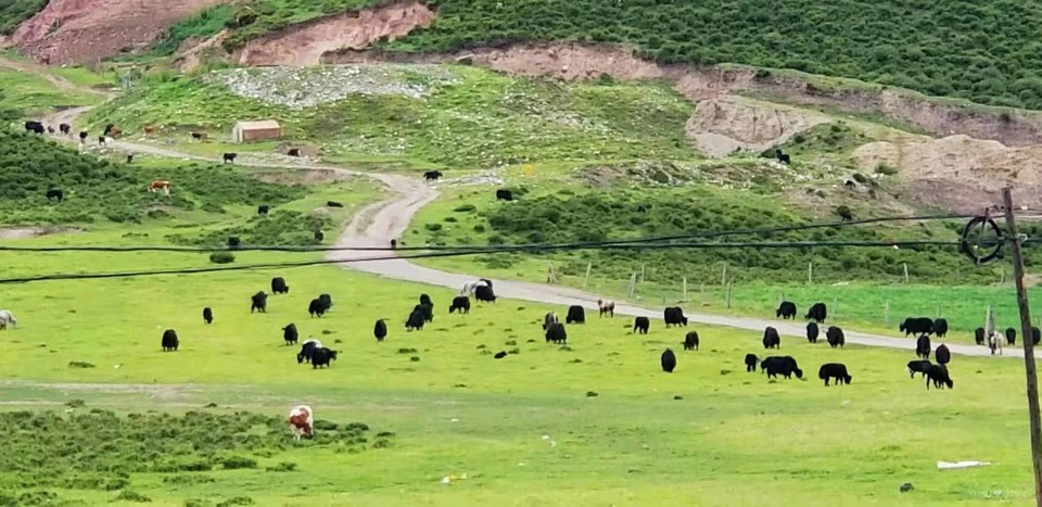 e65oxLEMvBRbAaMkrbYGGsYCE3BVupYwadxo2JOZhA9lqbbOtU74L5Gd4-yoPj_i