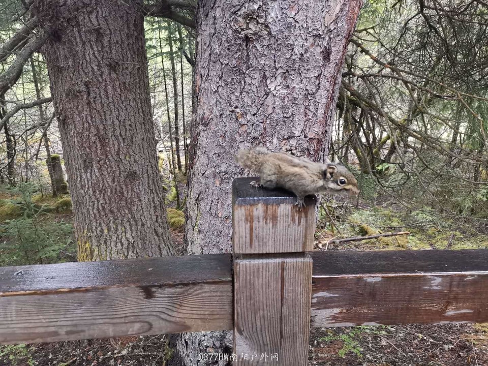 7Lk4DYvhm5oy3xsVJM7e79Mq6xbKY_BbAbl8a07oQe_Oc8japuFKTEhhJg6KFdPt