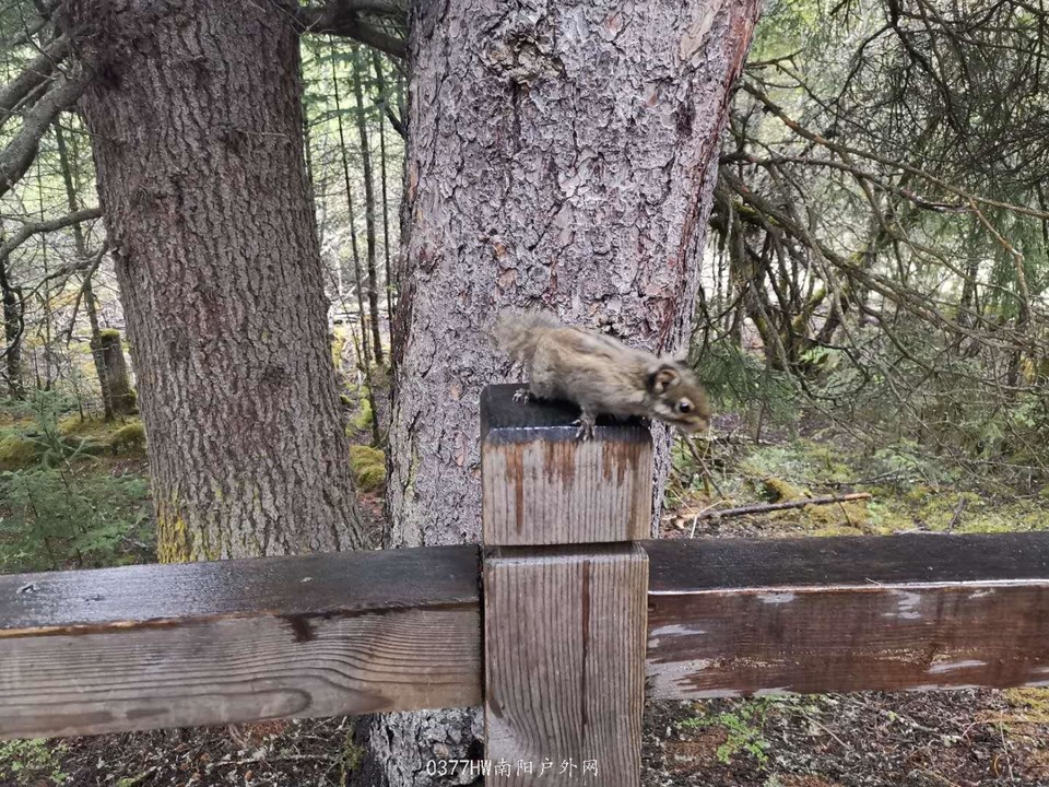 wR2VYrHlBzvJM0EuOM-CH8L8iEbggmZ6h3KGpSQbluFVArzAjm1pXEU0nmEqTnS5