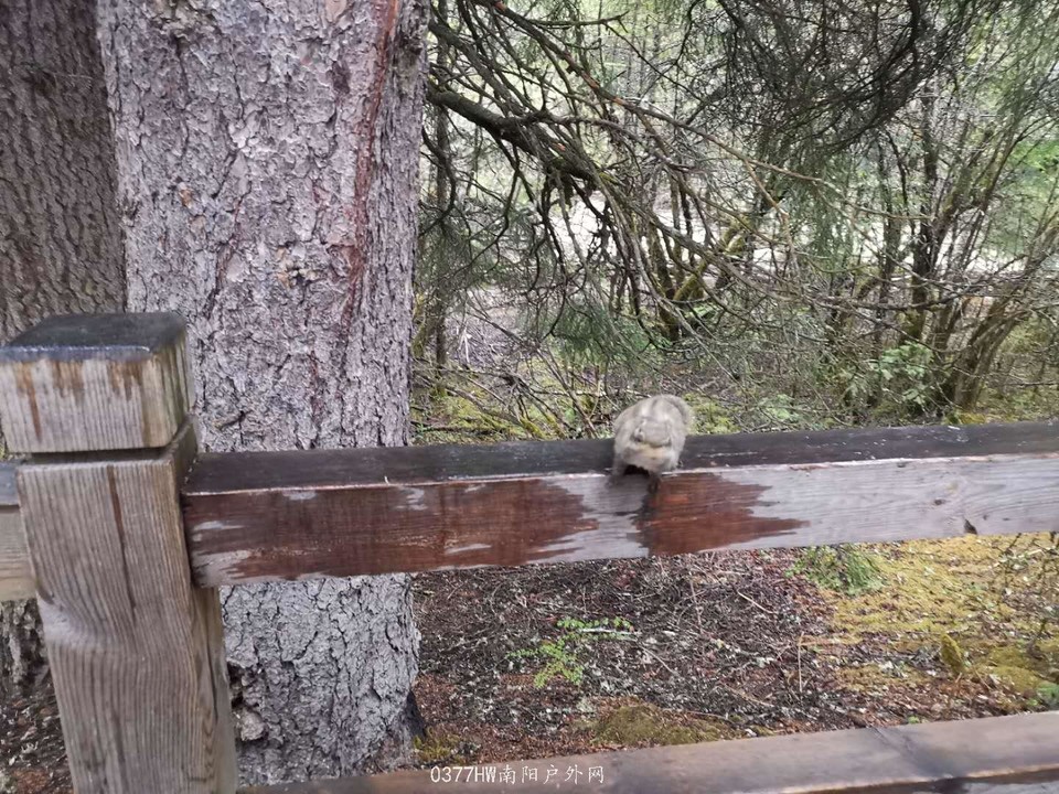 2kaIy-yedCoClsHOmMQAKYCFduN2fGsynxoXg7rSofsBIpGLRLzVX0sIFCCjEFu7