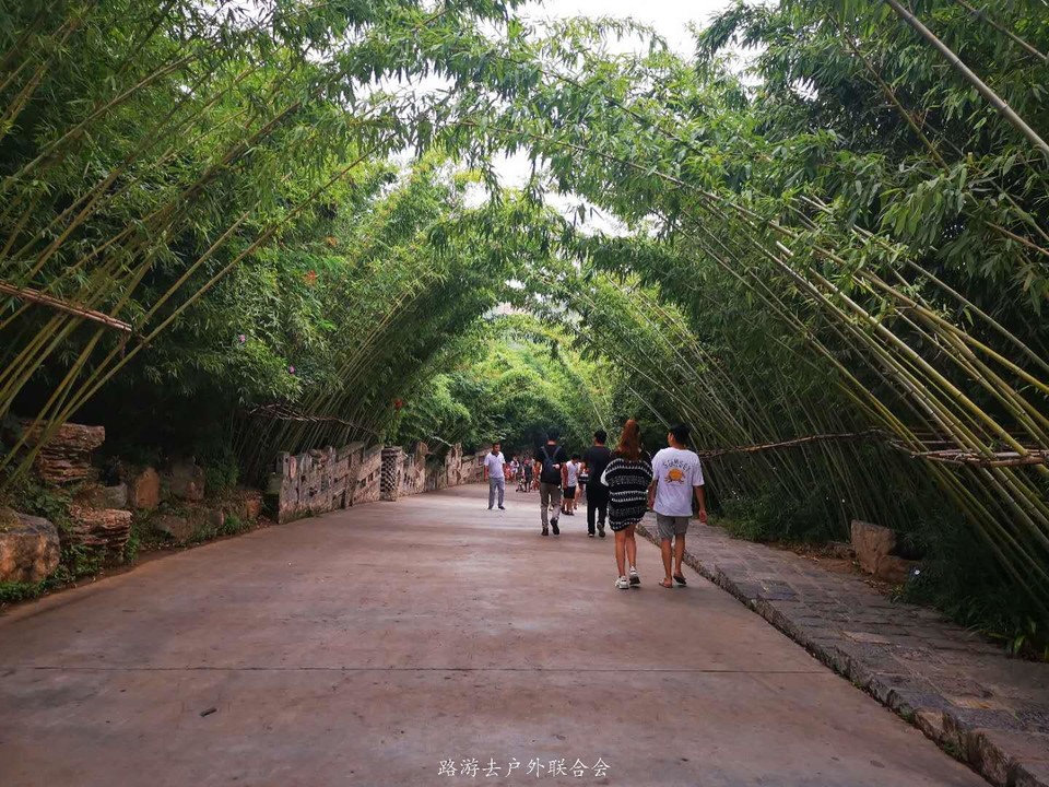 GIXKVvvEUD0CDLtdLQ_SaZTym4EqxWqrmAQStzScFw9JX6Qm8sWYxZ3e_2w3tLTO