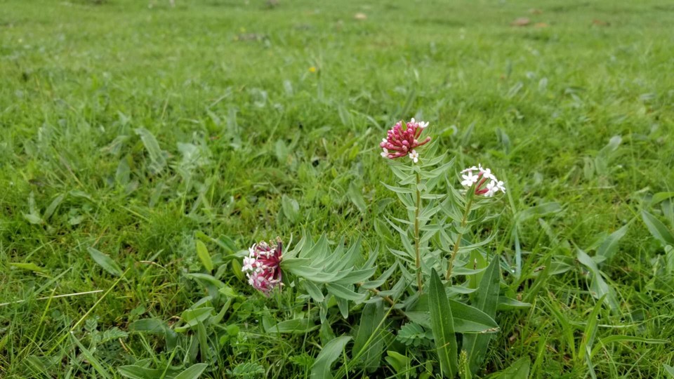 Obfoi1PNpaiSkKmeotBuNgq4kjPO91AHTHOW1PiZjpD-vhVEWzp-60suoLVsM2xM