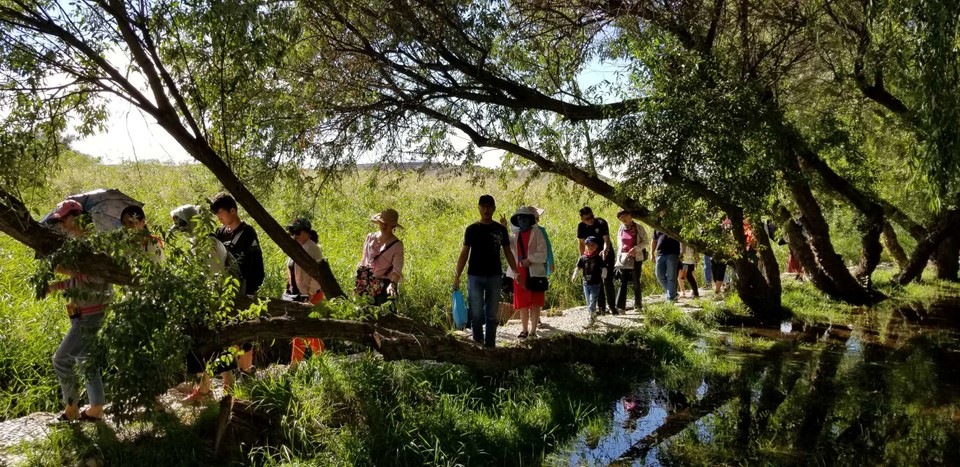 SSxUcY5FCGPMCSmx1DyHkc7Kuh3icxbzQHYrGwi9faL97iv75iYCwwNutTlrUWLX