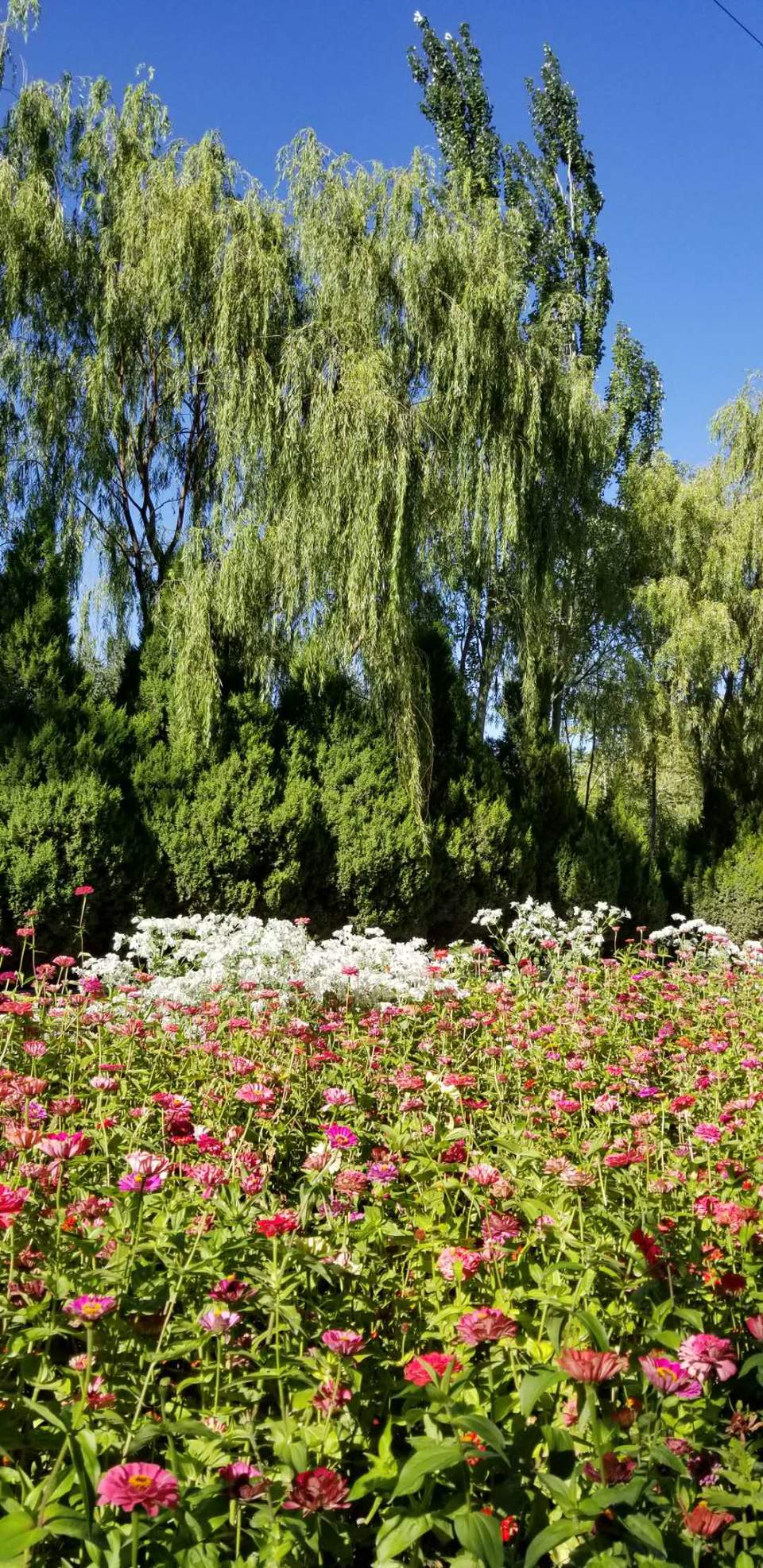 aVl5aDa7LP2a-42DNmCUUXoWYxPOC0sQFOUpGUvv7nDMkyWW90zNnuN_ebMrkyzR