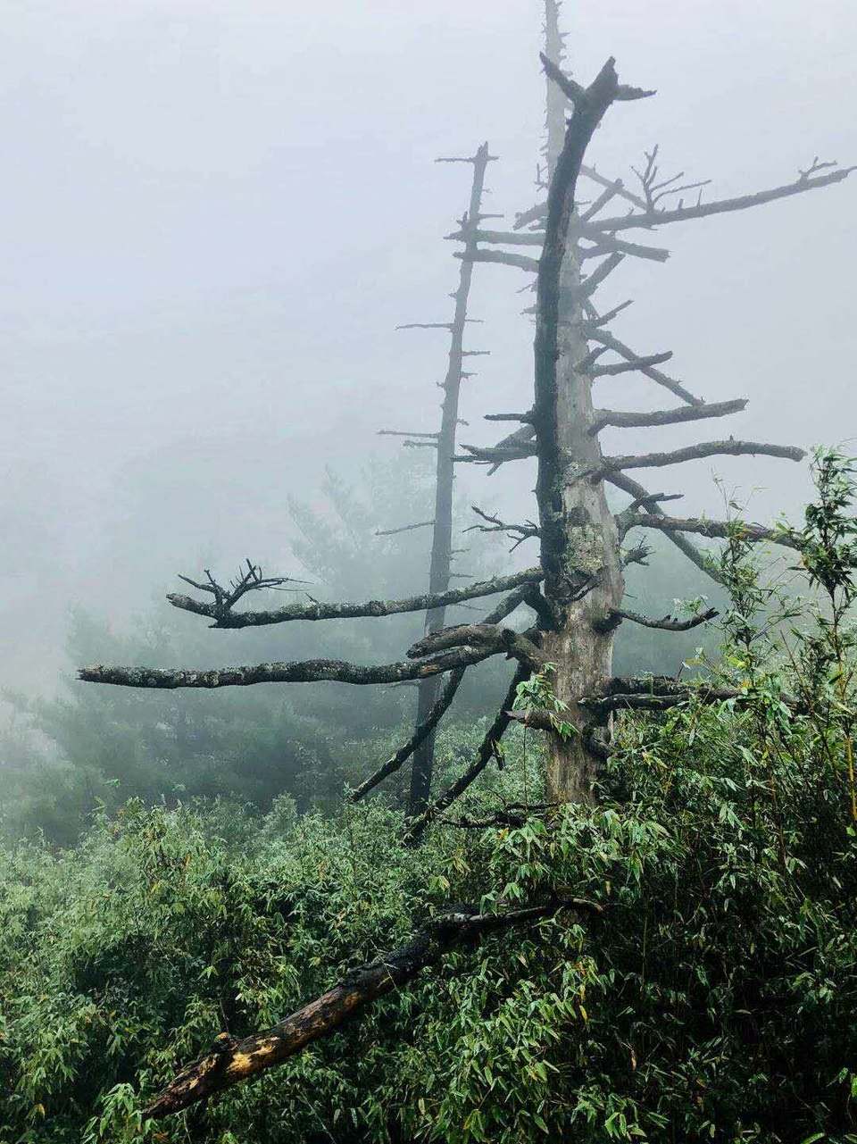 IyxQTcZhBi51wR1RmERupNwLi3wIYdzaE19MfP92TkXfBMP7UYpcP7JlRch7fBSM