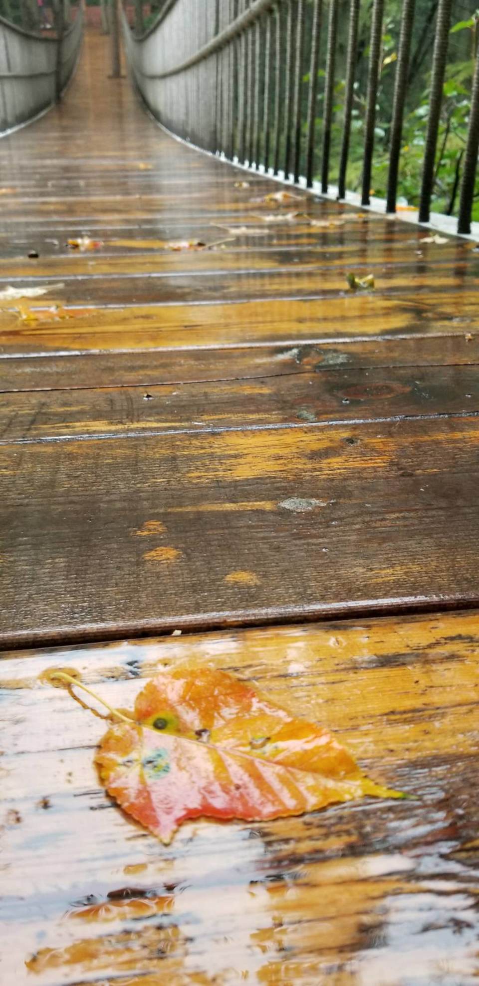 wUr82115x9fQWajobGAkeyqodOIu-vtzgu9eAtHg4a1pij0m-Rz200GD9r5SpSU-