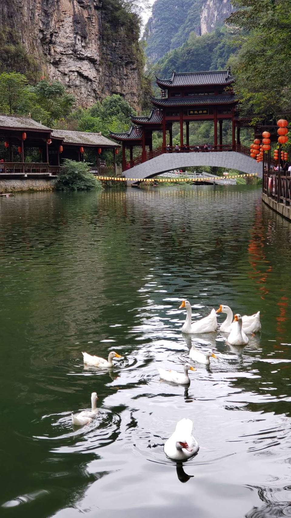 6kCrQSep3jf9XHR85Vp2d-bShYePzvojXBYXzZJ3Ud-mv9KuyIWtaAc9DDUvDL3Z