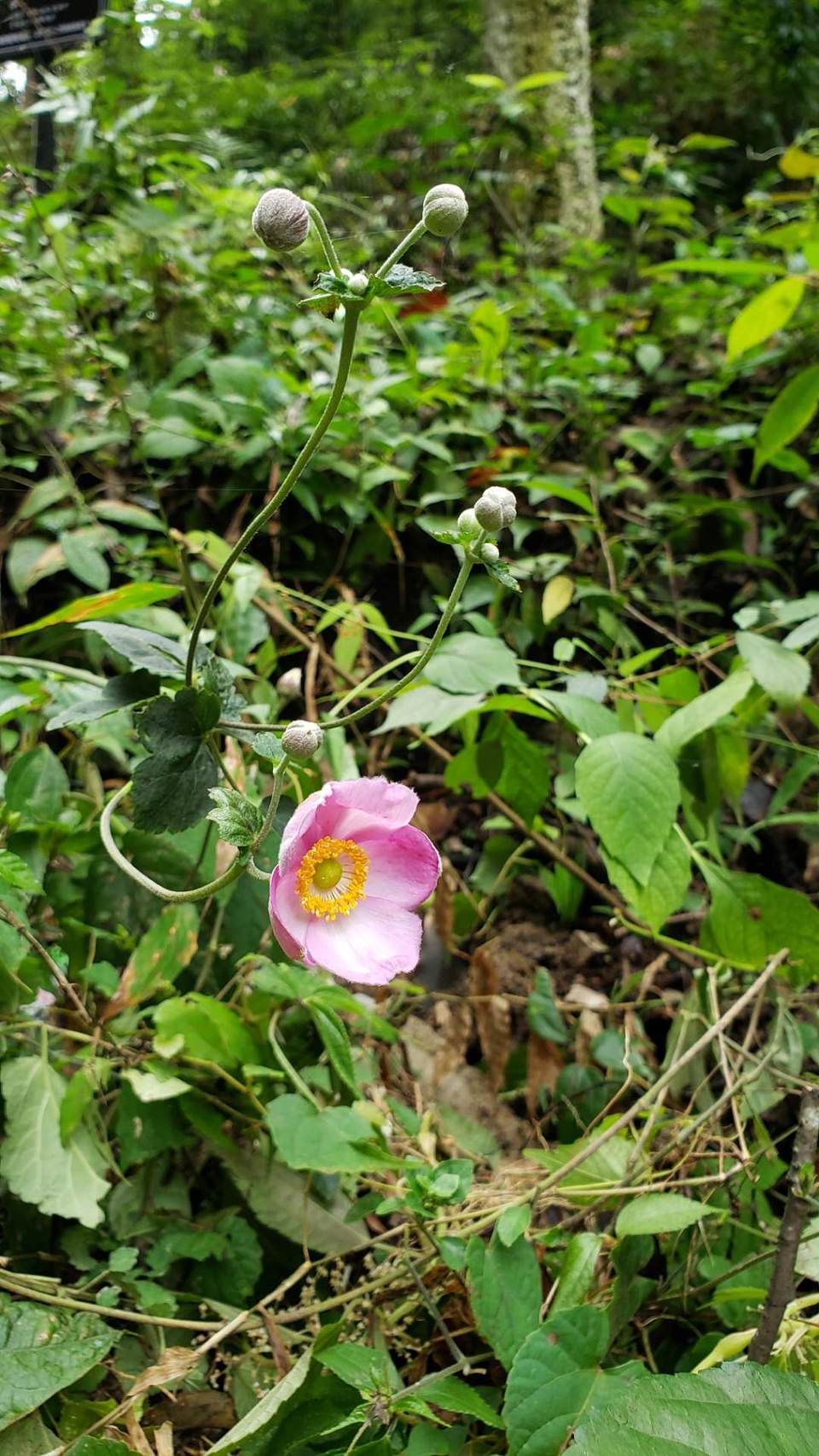 F2olMvOuJiRbY26XWfV2dDdXVazyD0Rtise4nnq74qQMWyyM0KZYY_9uoY1_DPG2