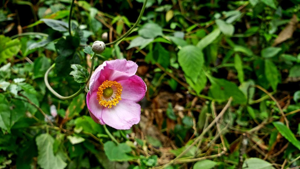 TwkxOjjXc1pb7pqzNAl3swbnCa_lvH0xt3Fg2sKuSTMLRzxG3jWjiViGOjYXwNhh