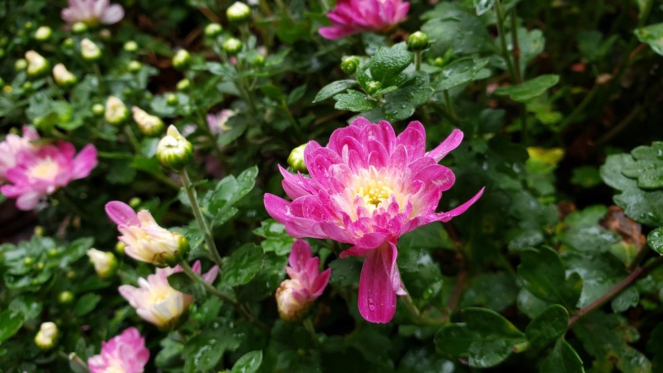 TwkxOjjXc1pb7pqzNAl3sxCn9boarqk2uvTIQ19K5KaTmZ_Nhh1kW0VsaYsw2J35