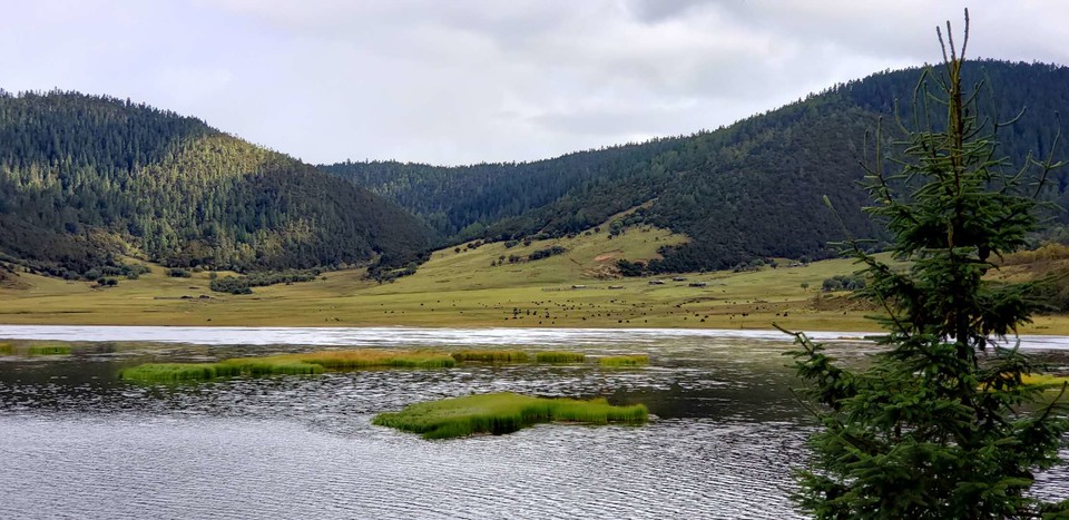 sWgoCYVfR0L8J5CR4iPpZvlZ3m_1B4rz8S10W36QFn04IH7RuzgQ2bEFA1gO-06A