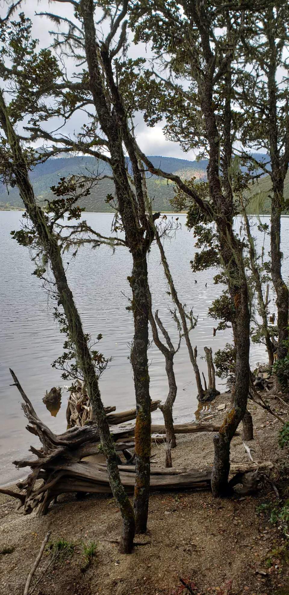 ihROtvRPnk5tcAT4kPKKbnof2Kuv8Y0hMLraJAkyCBYH3EgfQ4nH2C7k6Qs3mSQG