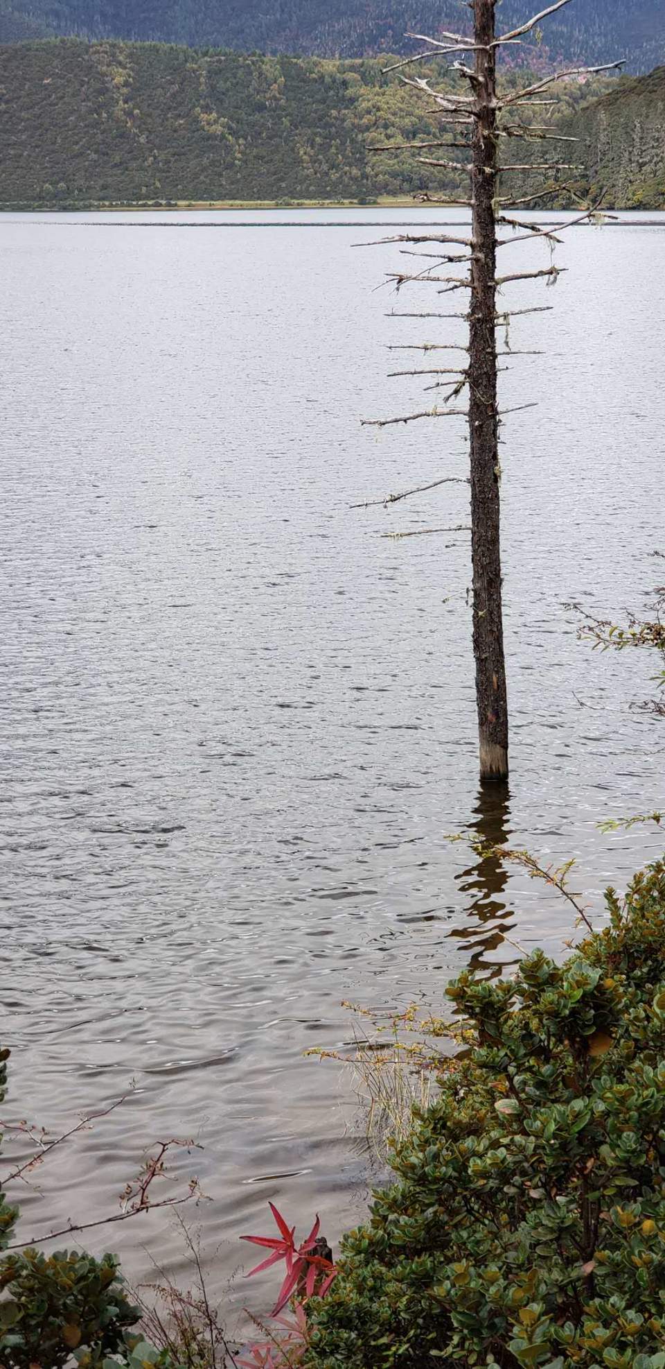 sqHboh7Sm0CSHAEabHIMMfIdKtmJYnc-E7pRRGqq1TX0aPquj1_TkI7jyo4tp-AZ