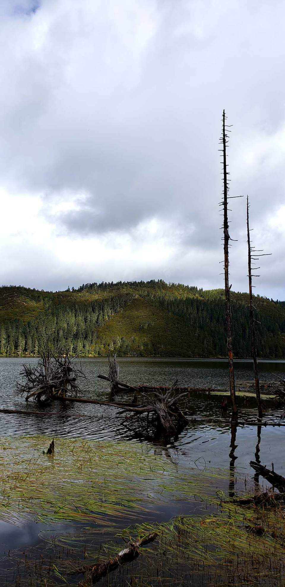 tjWibmCOoadhlj_vZ6nPnjBP7L_linvQ31ifo_xjP4OUlIhSgZbXabd9Z4_7TqmL