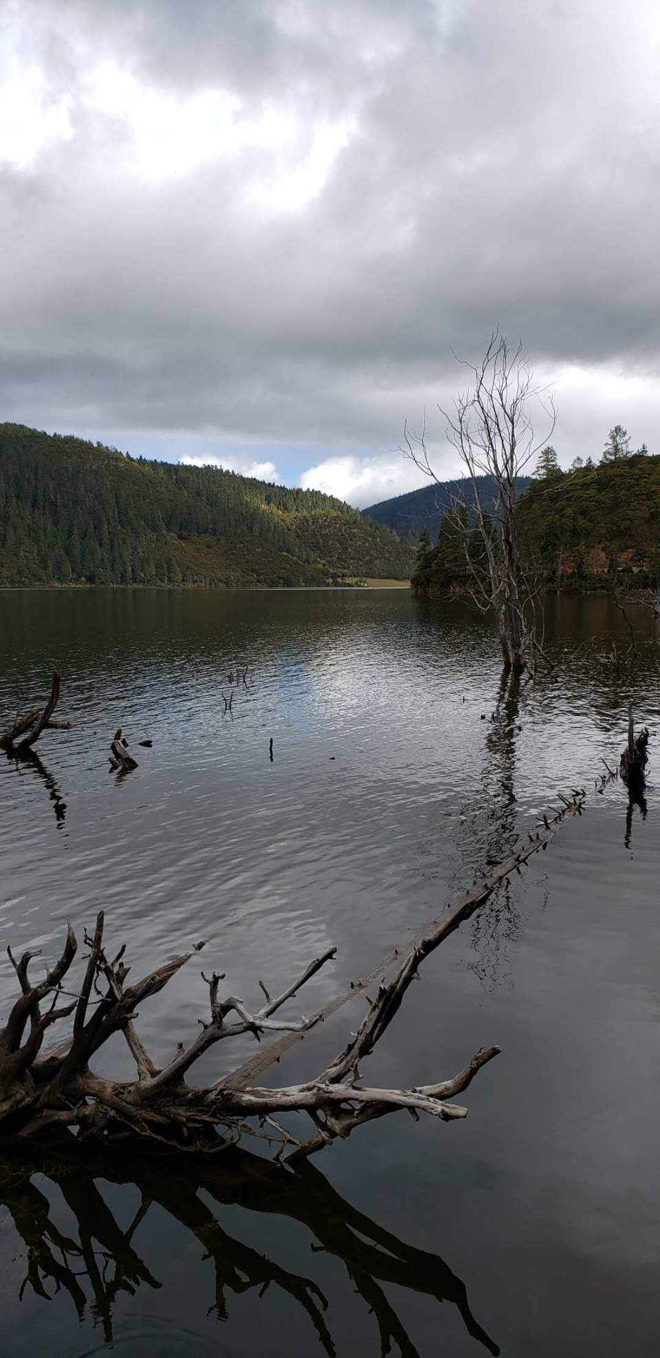 sGs9tXVh54j-uW5noiUZuT-j0bwWND47DnCaE3RzbfGawstSqCZ3bRc31vYqQ3r-