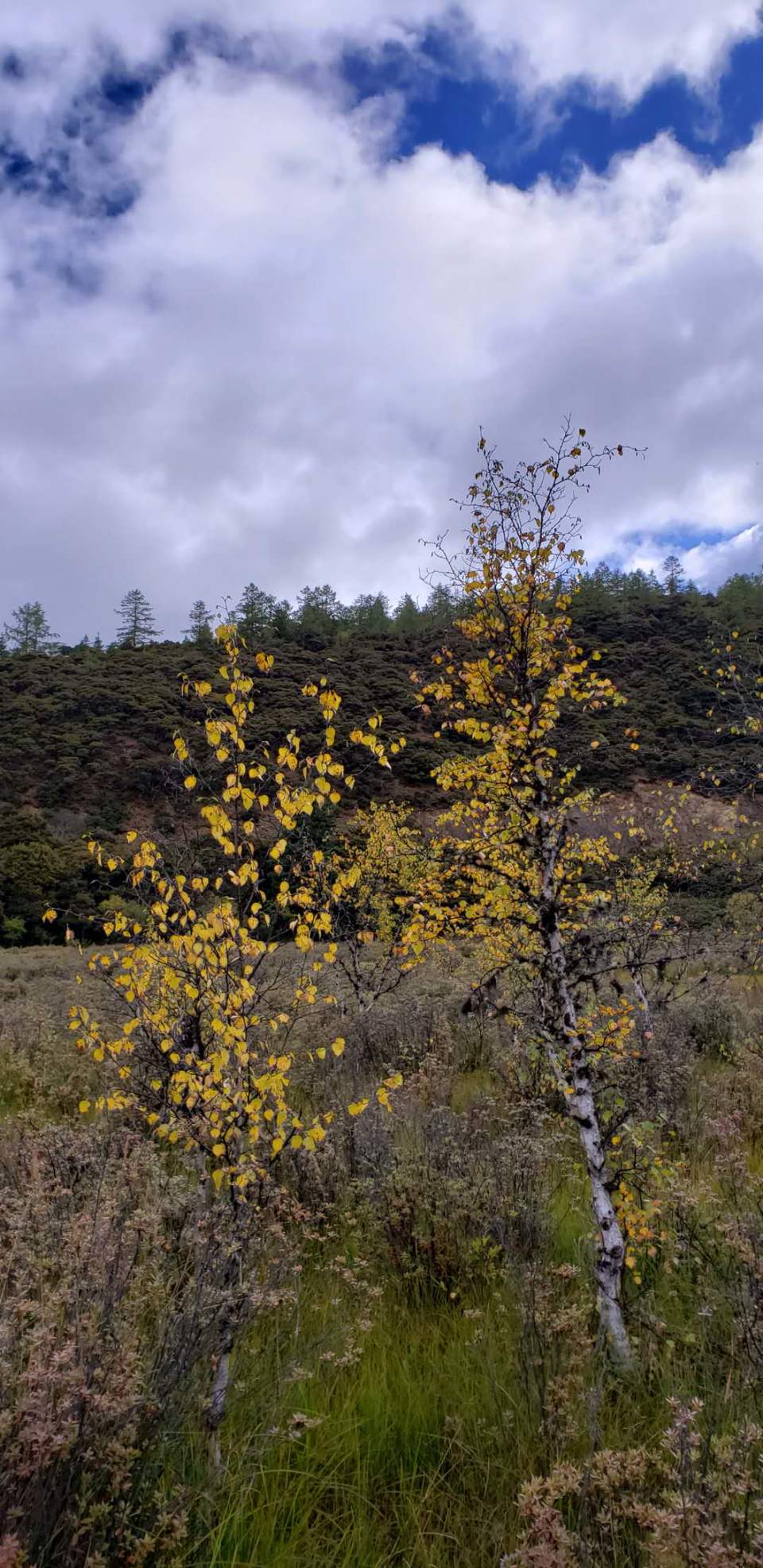 -uGzpwbMO6QSpDhD2cDr-XPTpEFvJwBBF1UDDtXQa5NB2e1KknQThMfR1YS7mr-I