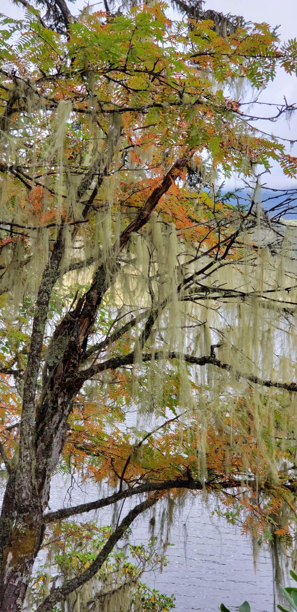 WIlXkEXHMtYKAXKZuPwh6OGluWBvrTeuqJyR_PsUSZf8wY6tei6CJnn-Qos98KnC