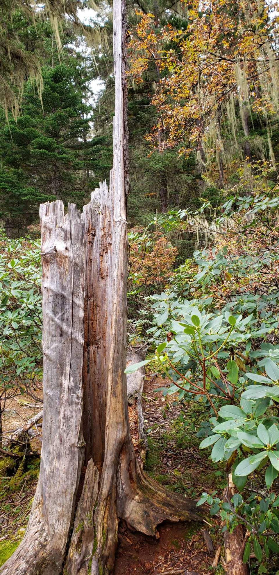 2kI0m8-mW2H86jQk6oGvcVkpqp3hbMMLcF0ZenqQIVb401DV4SxJir7ezoRtmxXU