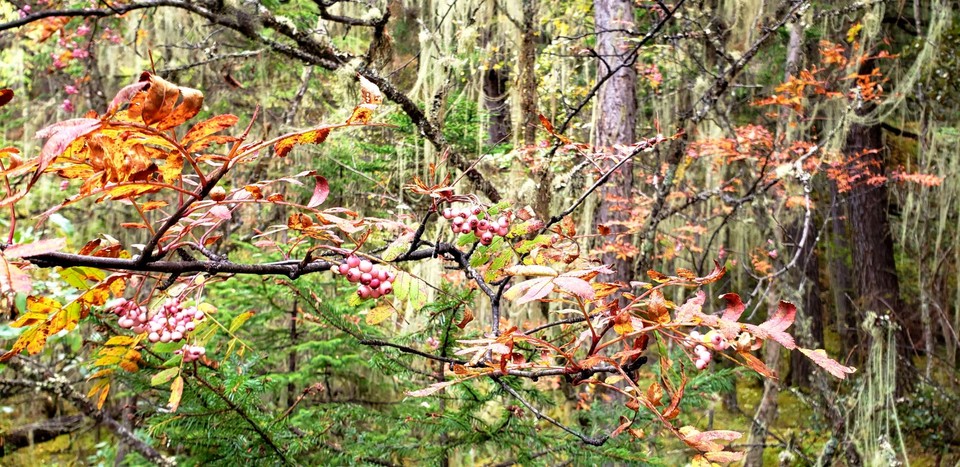 81aiHKKT0-TA6_ifqIzKBPkRTPRbW6RwWRQoN63DePBYHUCMbwCRnGVdN1RCBSpr