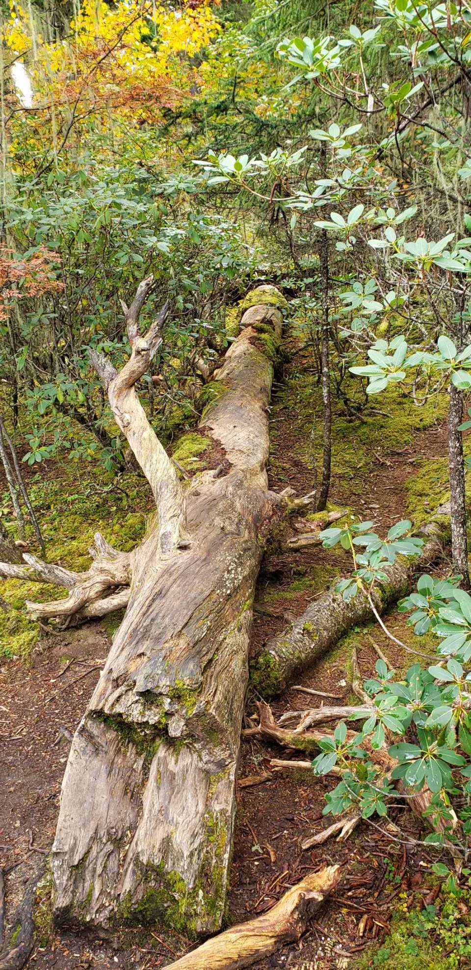 zUu9uRC7z-naf8c-fuSVmy6yAmnAhKT5DaNndE_GN5HCwNzx746nHbZVKPMfzIs7