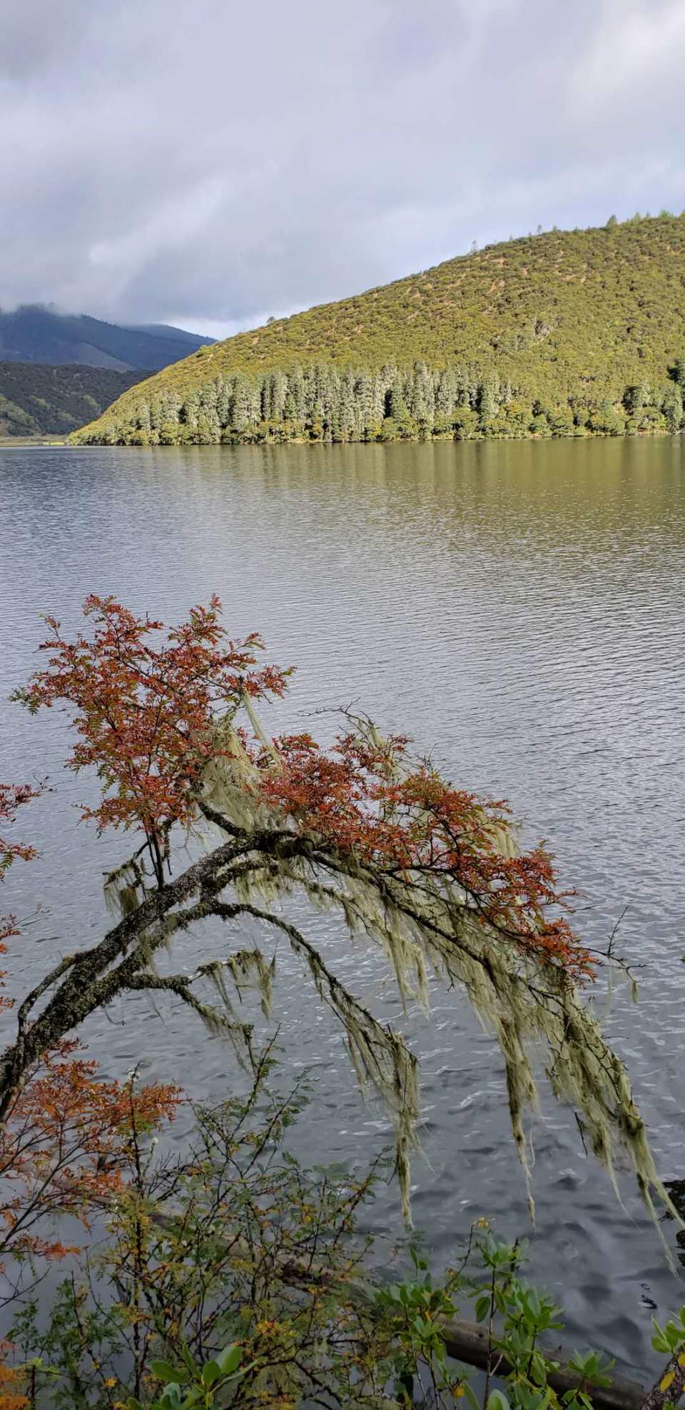 oE8ivainuZcbs0gI66lcsc8XBXMtFbiusOBdoASLshRZBIlmCJh1efo4XWjyz_sZ