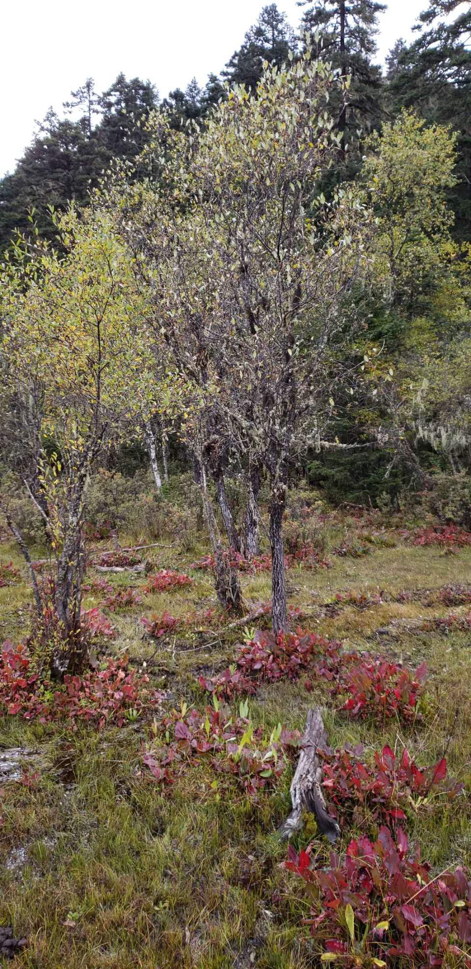 0KYWKNlQJFZLTNw54IyPM4c6fgImdXWN5MgTY5iz_Gf68hnguLvTUEpY_POZa__I