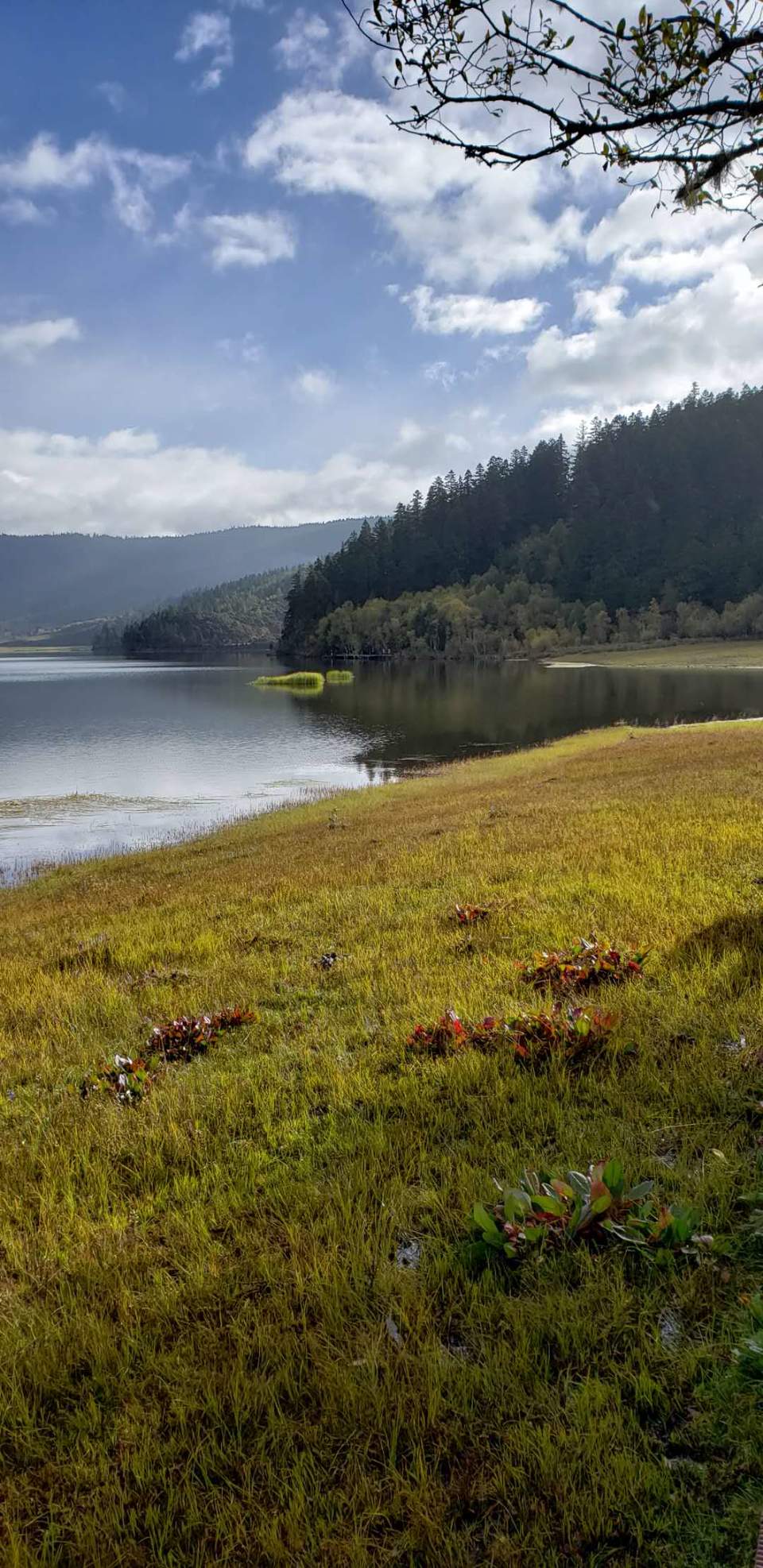 90V10Fk_FMSkfYhkccgIaLdJF9QuBEECP4SZWdFqhiy18smqoTBhtXn27VNiEBeu