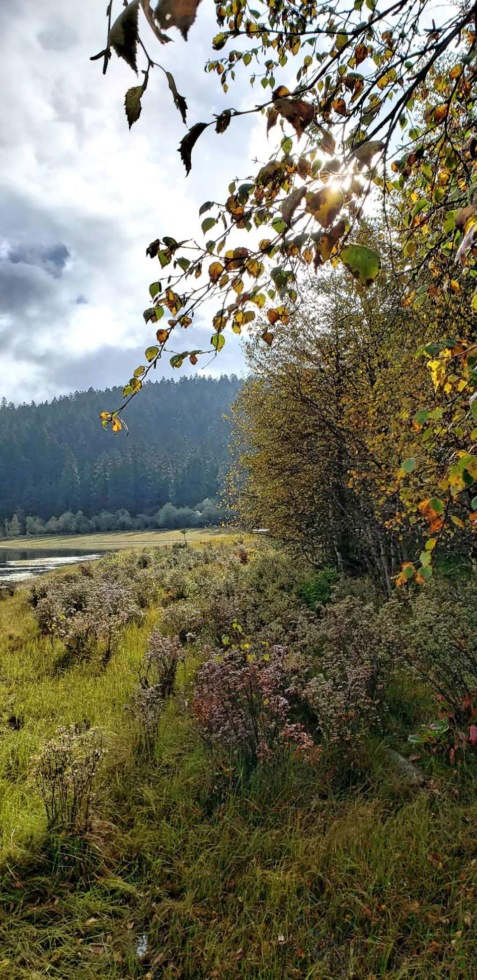 fu8a8WC9Kz-nZliUXxyqZp9NKgr_BRq8lD9gN3gzjNRl3reeh1GCDvDROO8y25dB