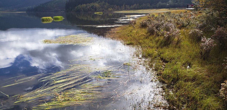 n62xpKwXobwLBFOhAqp4fTl_q2L1N5jUv8ZuQks1ifSqrY_87dwT2WVQlX2i15D_